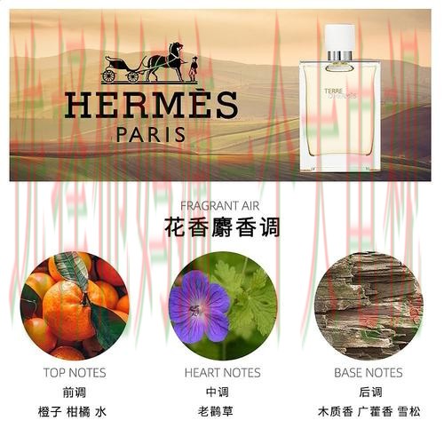 亚盈体育正规版官网入口 亚盈体育正规版官网入口