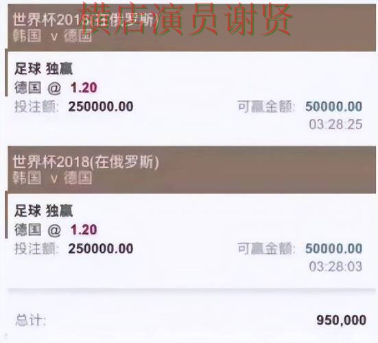 世界杯直播来临,世界杯投注平台推荐稳定性评测与平台选择解析 世界杯直播来临,世界杯投注平台推荐稳定性评测与平台选择解析